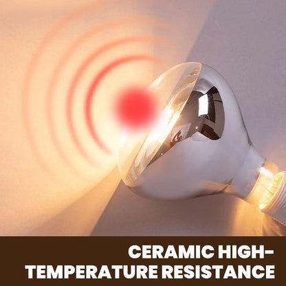 Bath Light Socket with Switch
